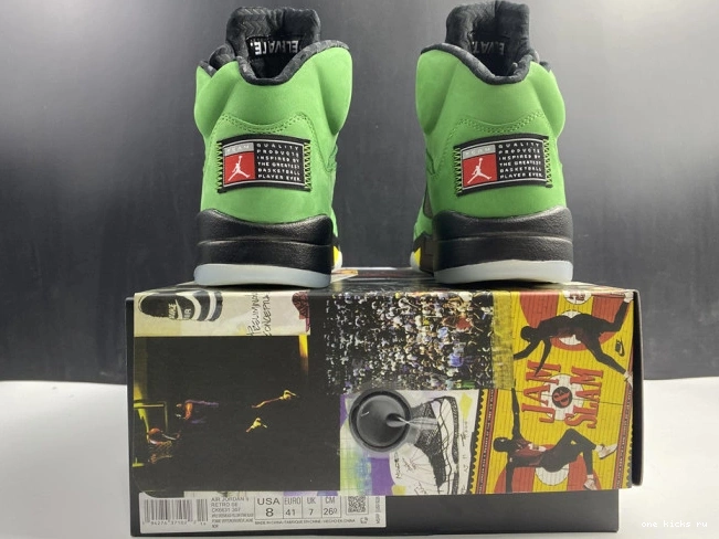 Rep Oregon 5 CK6631-307 SE Ducks Jordan Air 0716
